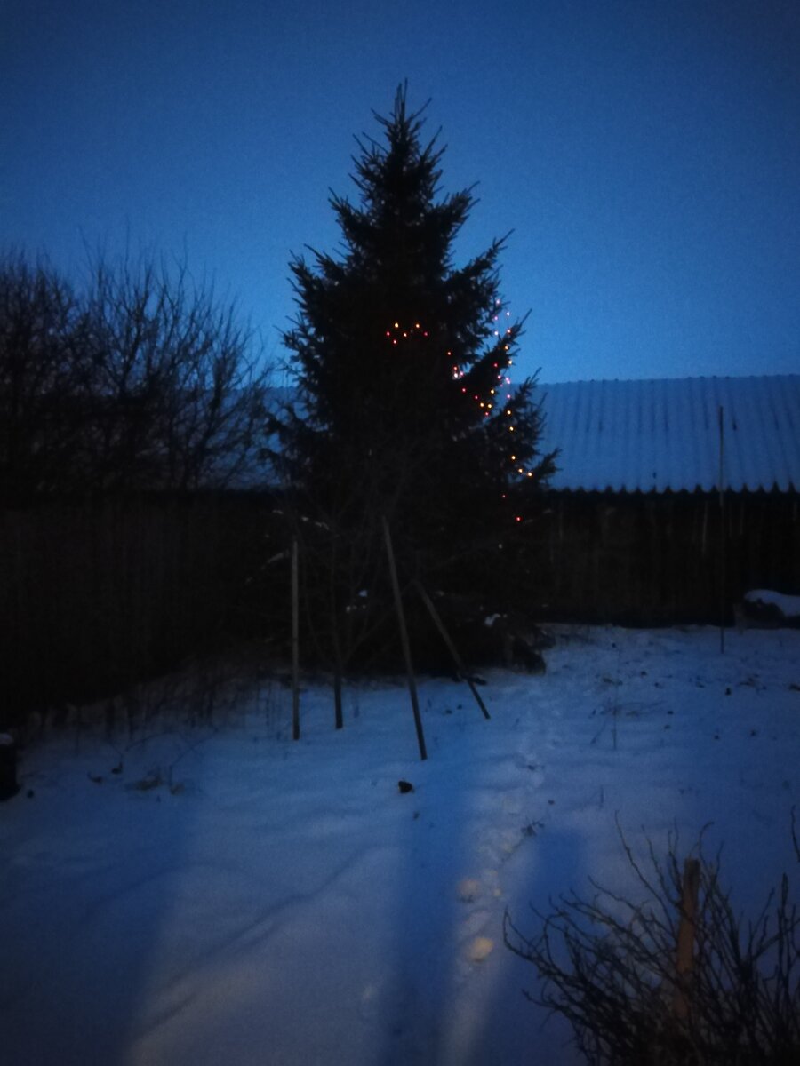 Фото автора. Наша ёлка.