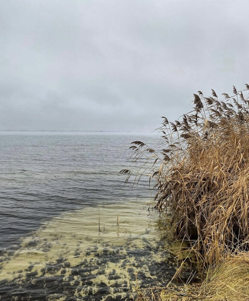 Курчатовское водохранилище под Курском