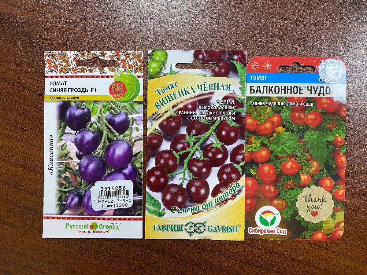 Семена Томат, необычние синего цвета, и черри.