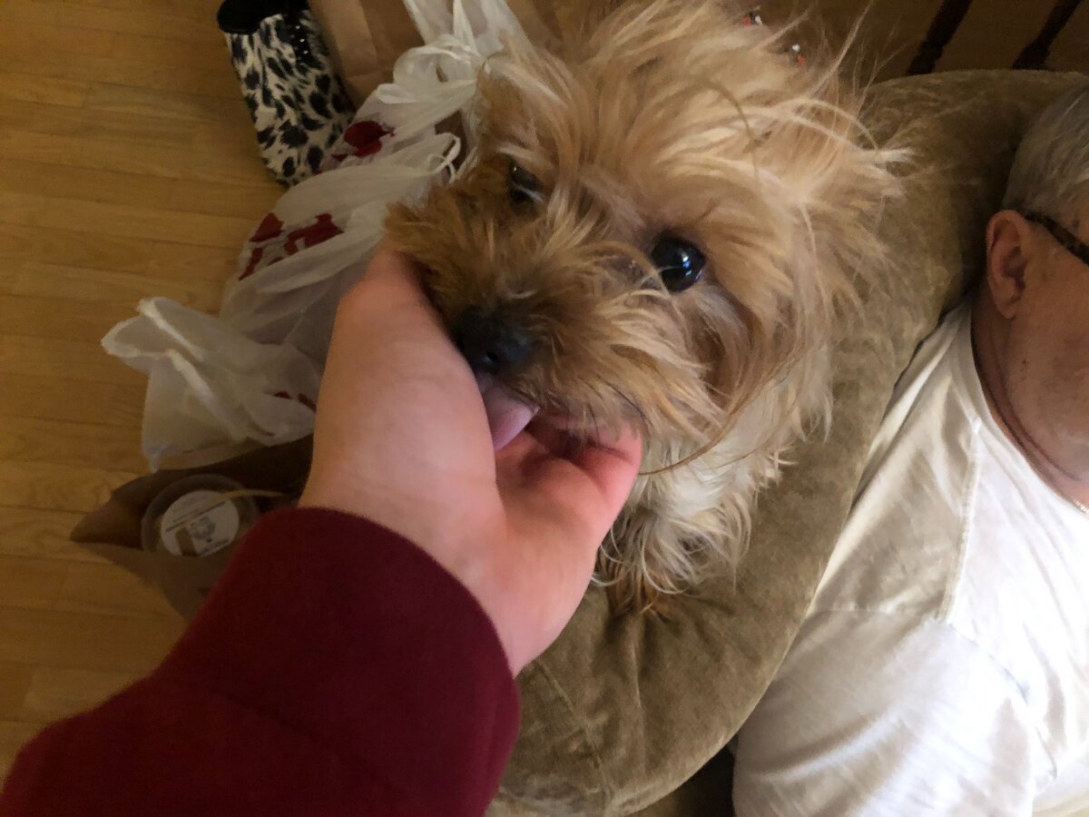 Девушка Дуня, она же Зауриэль или просто Зара