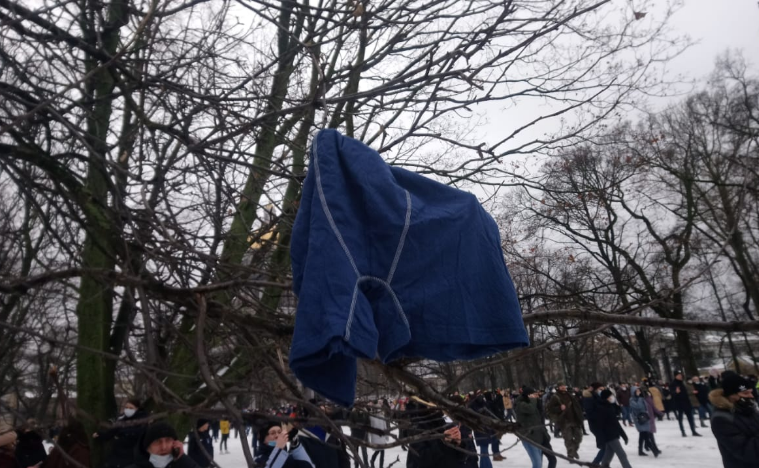 Синее знамя оппозиции