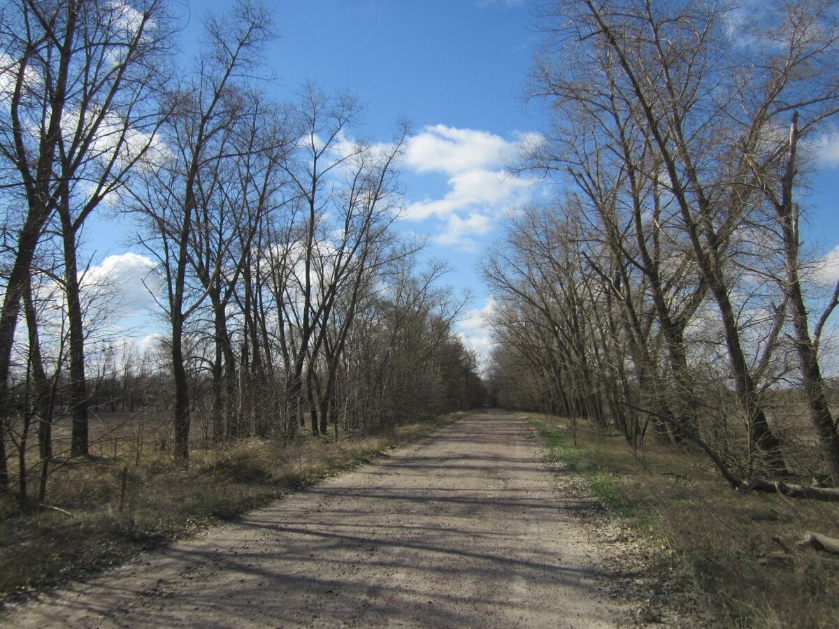 Село Острогляды, фото Максима Алексашина