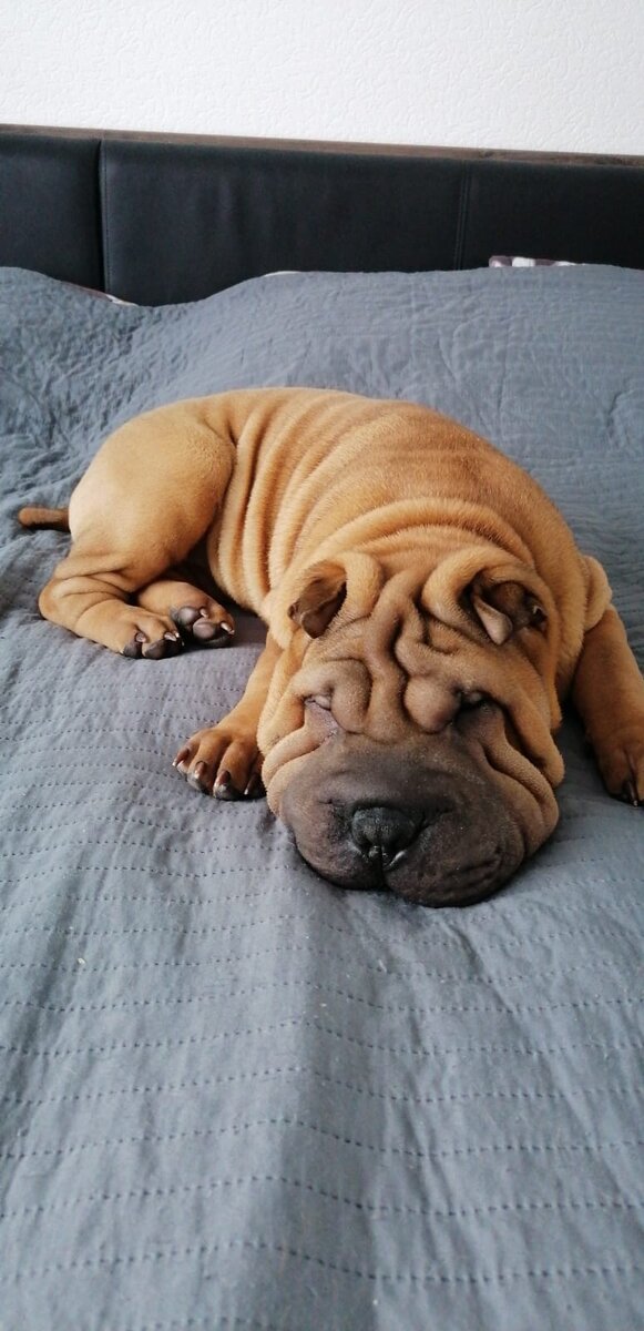 Фото из личного архива