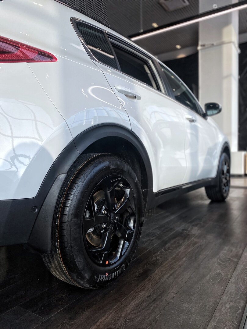 Черные диски и накладки на пороги