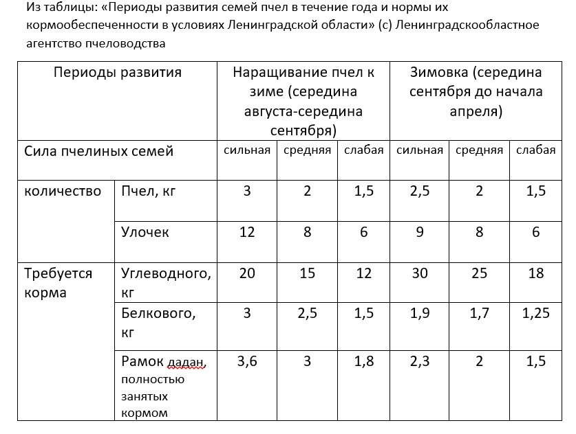 Зимовка пчел - клуб собрался у верхних брусков. Что делать?