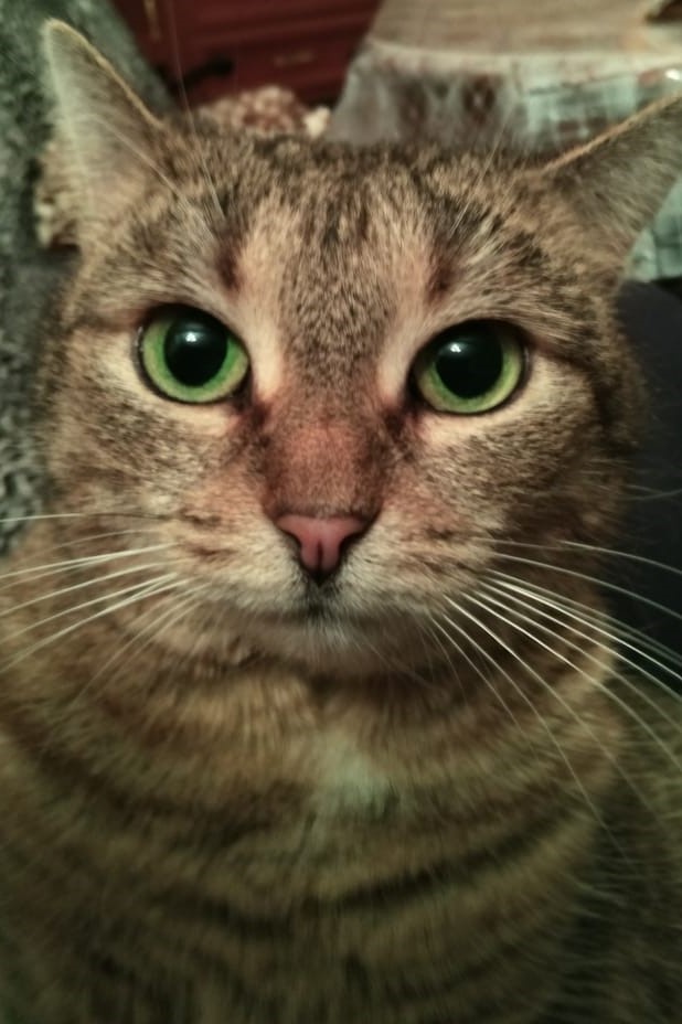 Матильда одобряет