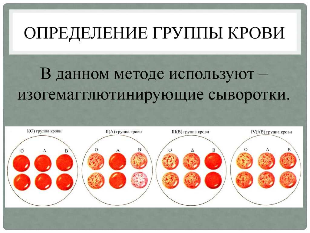 Тест на резус фактор