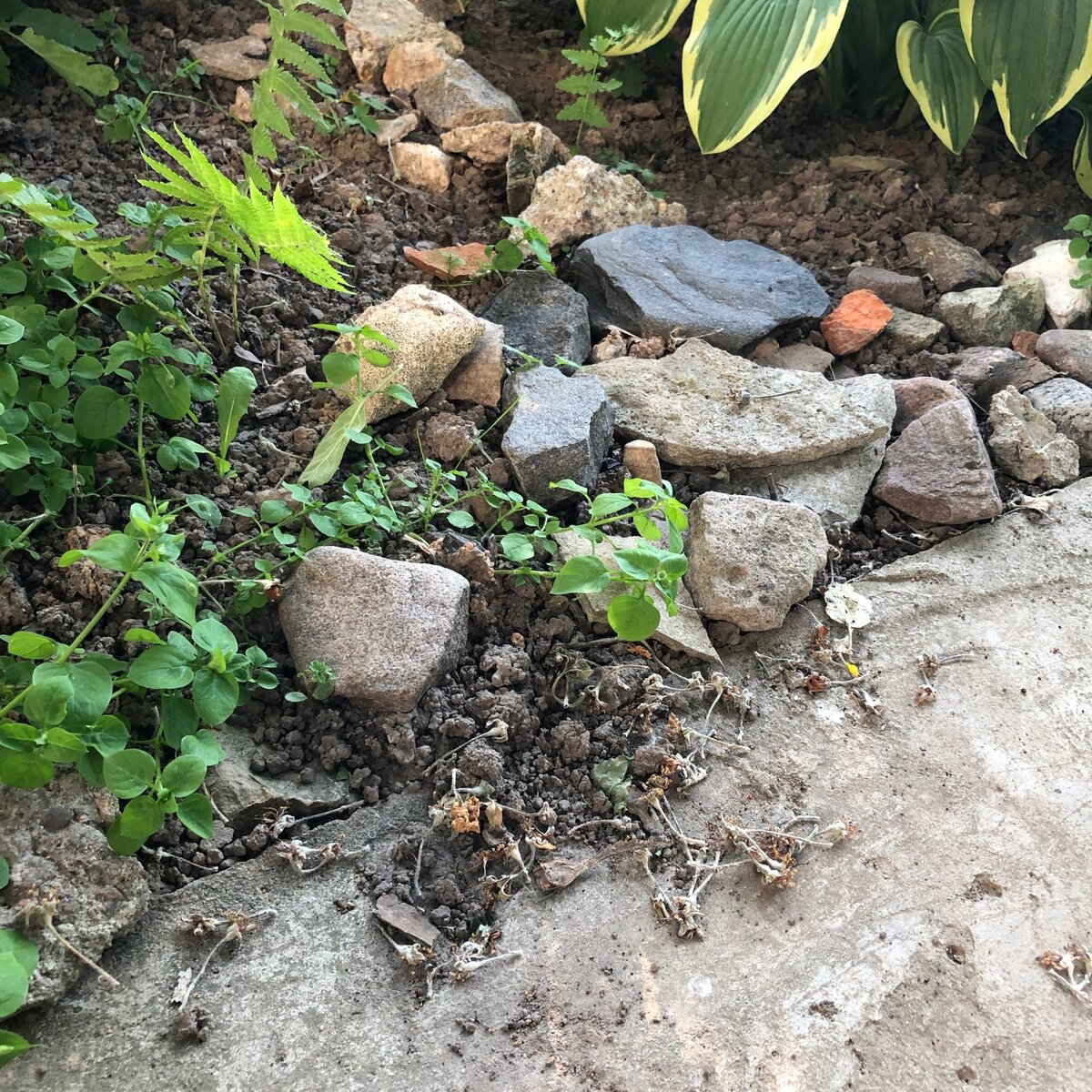 Забивание грязи после уборки метлой