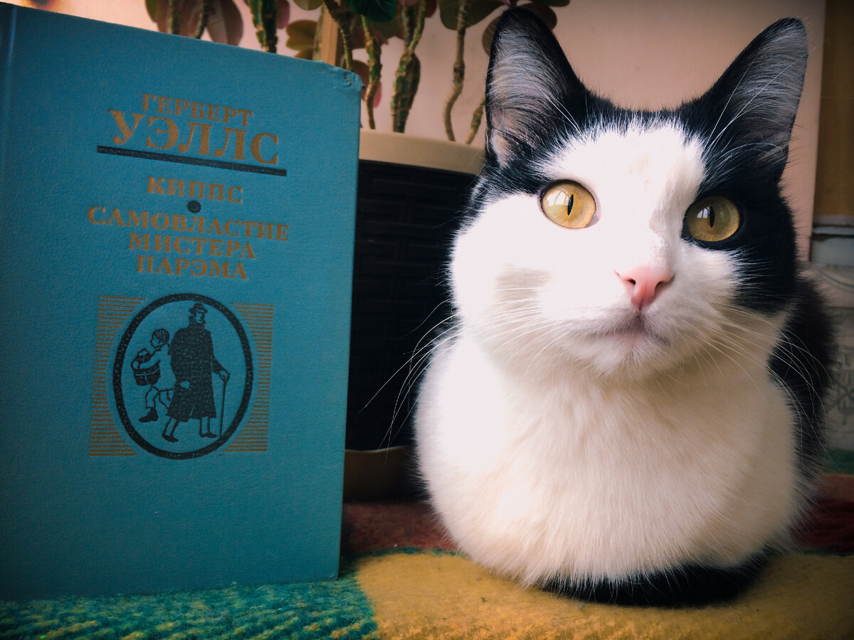 Книга крутышка, я кубышка. Ой нет, погодите, что-то не то. Я крутышка, книга кубышка? Короче я запутался.