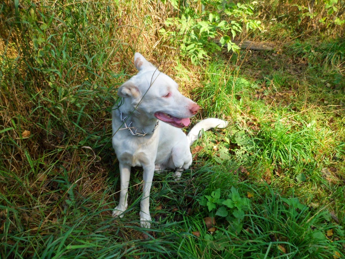 Личное фото