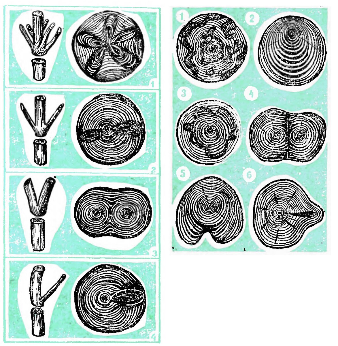 Рисунки из журнала «ЮТ для умелых рук»  1975 год 