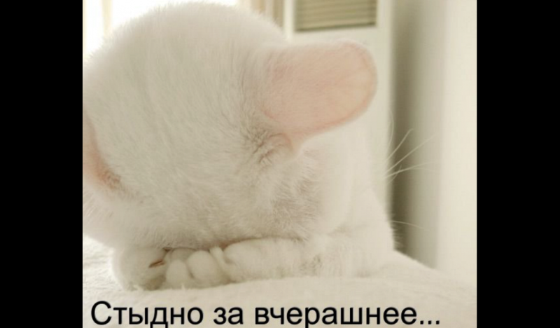 фото из открытых источников