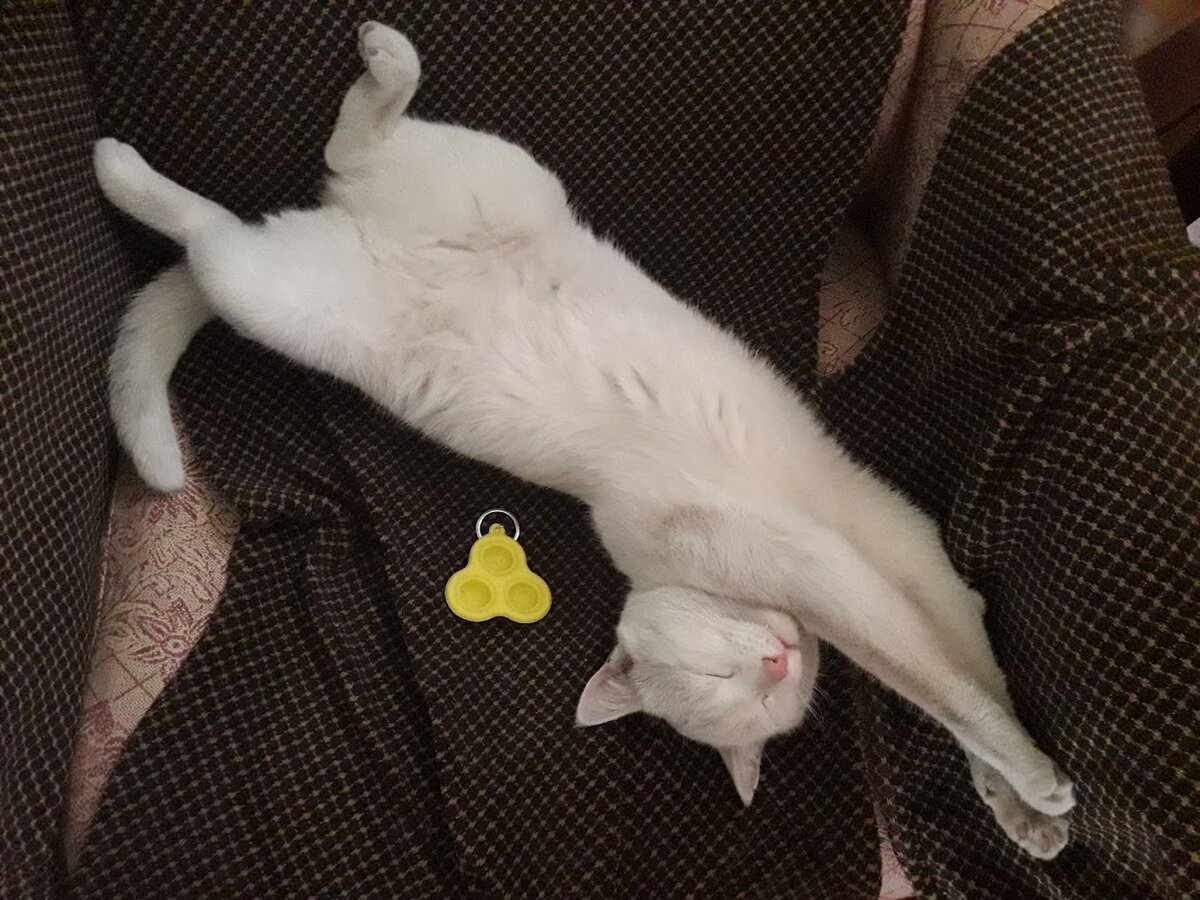 Коляму петухи нисколько спать не мешают. Мне, впрочем, тоже