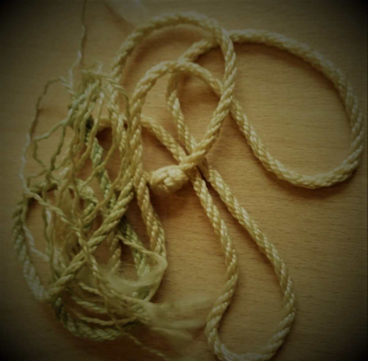 Фото автора канала ***Мама Лора*** ( конечно не путы, но похоже )