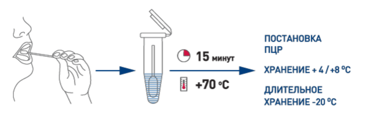 Тесты детей ковид. Взятие мазка на ПЦР алгоритм. Взятие мазка на ПЦР коронавирус. ПЦР забор материала. Взятие ПЦР мазка на ковид алгоритм.