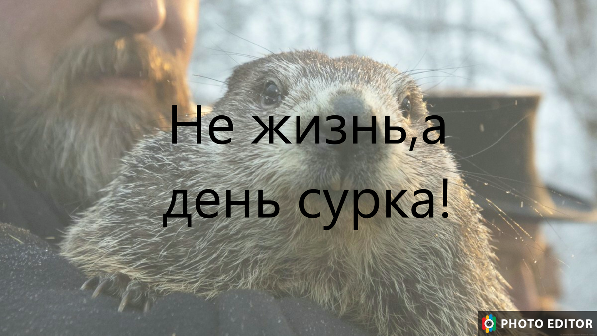 День сурка. Почему гении выбирают экстремальный минимализм в одежде