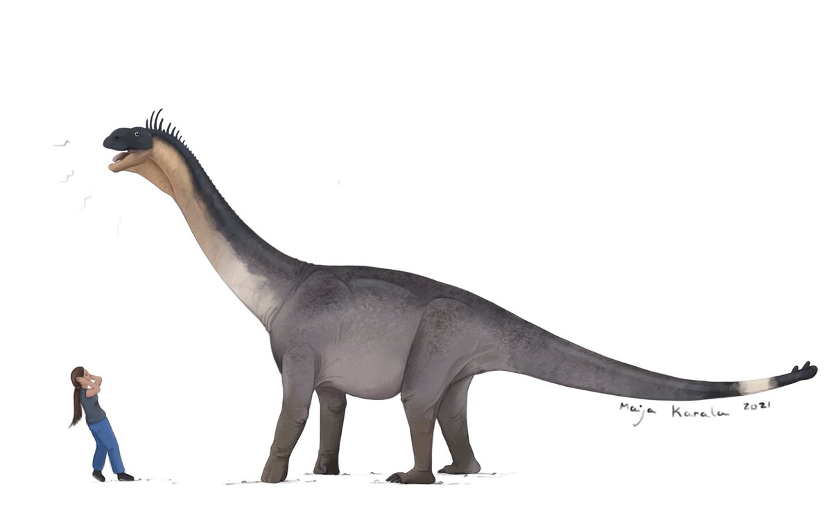 Человек! Я слышал, вы судите за плагиат?