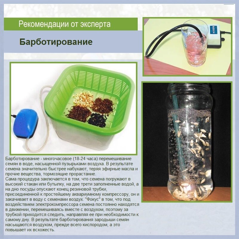 я пользуюсь обычным компрессором для аквариума) Отнимаю у рыбок на время и использую))))