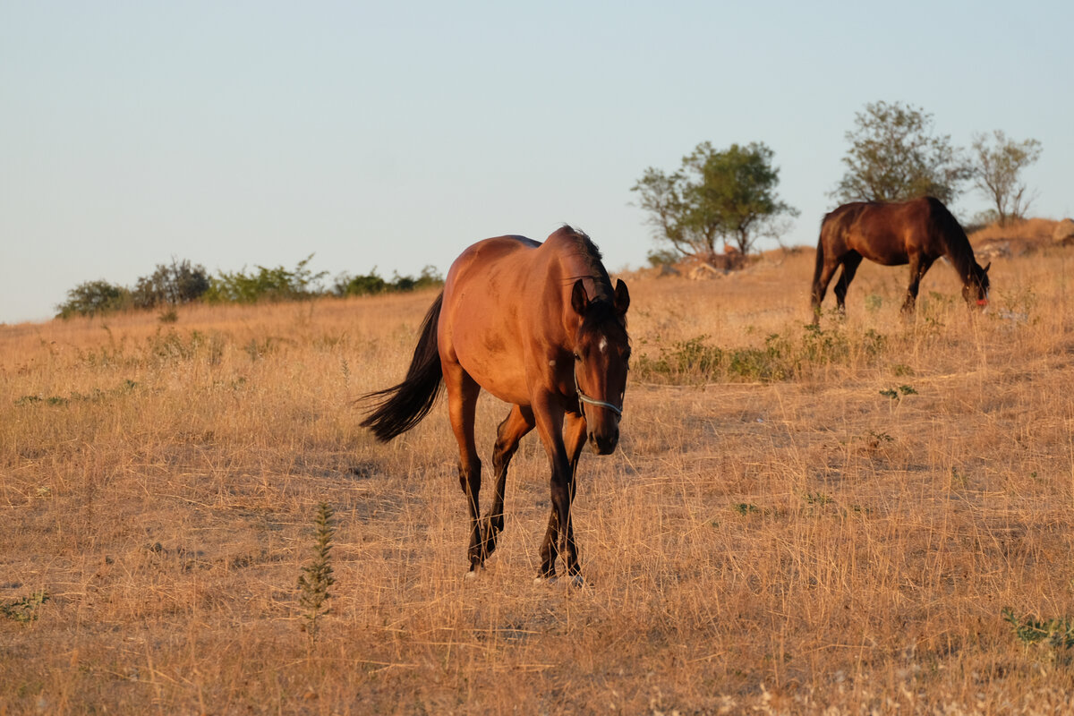Кстати, не забудь подписаться на канал и оставить лайк, если интересны мои статьи.