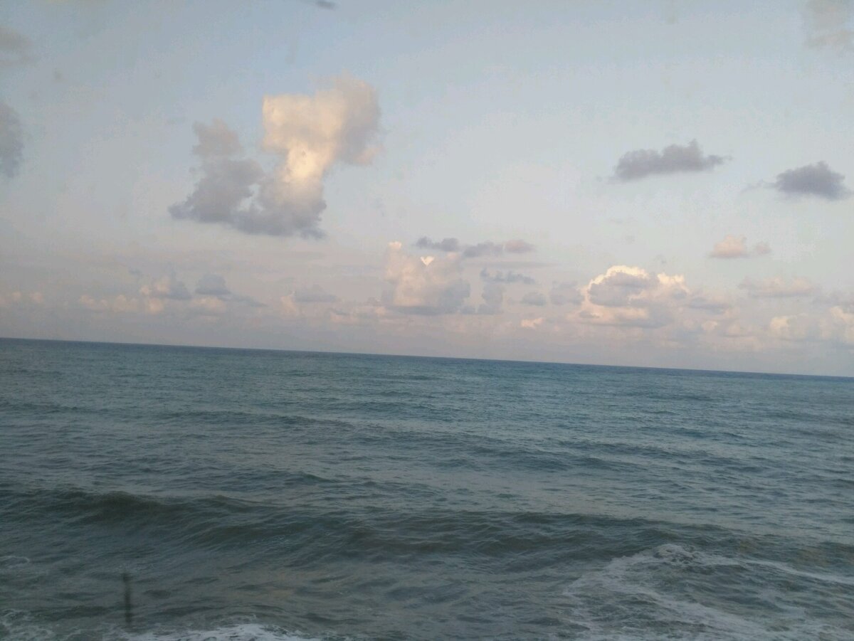 Вид из поезда