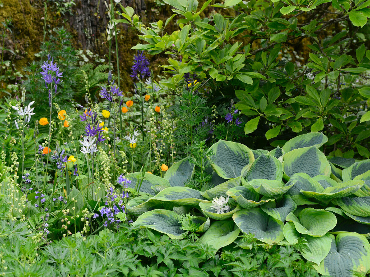 Фото: globallookpress.com