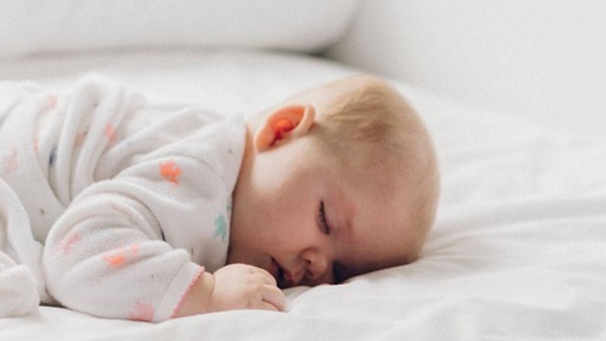 Фото: pixabay.com