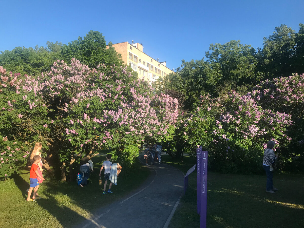 В саду много тропинок 