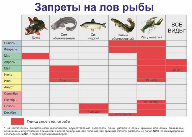 Фото с сайта: https://a.d-cd.net/2e304a6s-960.jpg