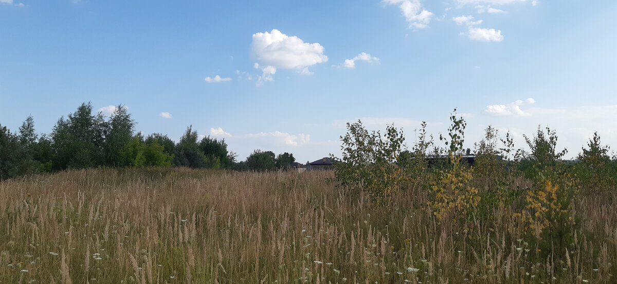 Чистый воздух, просторы 