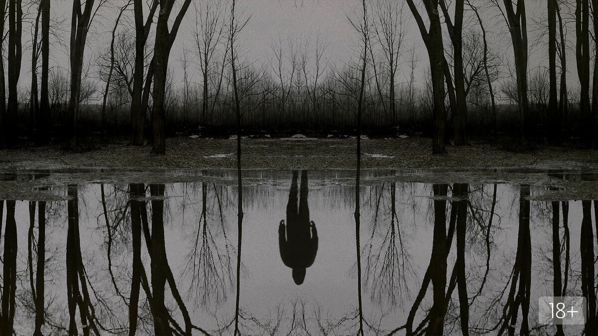 «Чужак». Режиссер — Эндрю Бернштейн, Джейсон Бейтман, Шарлотта Брандстром, авторы сценария — Ричард Прайс, Стивен Кинг, Деннис Лихейн, композитор — Дэнни Бенси, Сондер Юрриаанс. Изображение взято из открытых источников сети Интернет