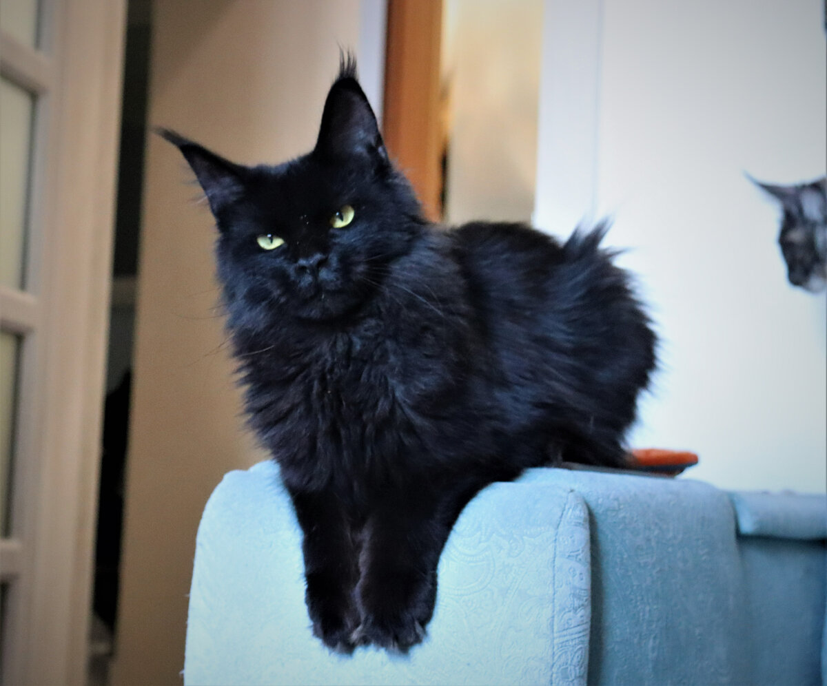 Фото из личного архива.