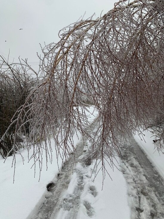     Фото: "МК в Калуге"