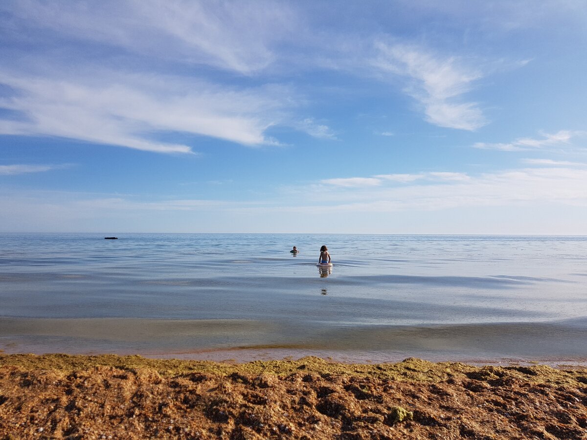 На переднем плане - та самая камка