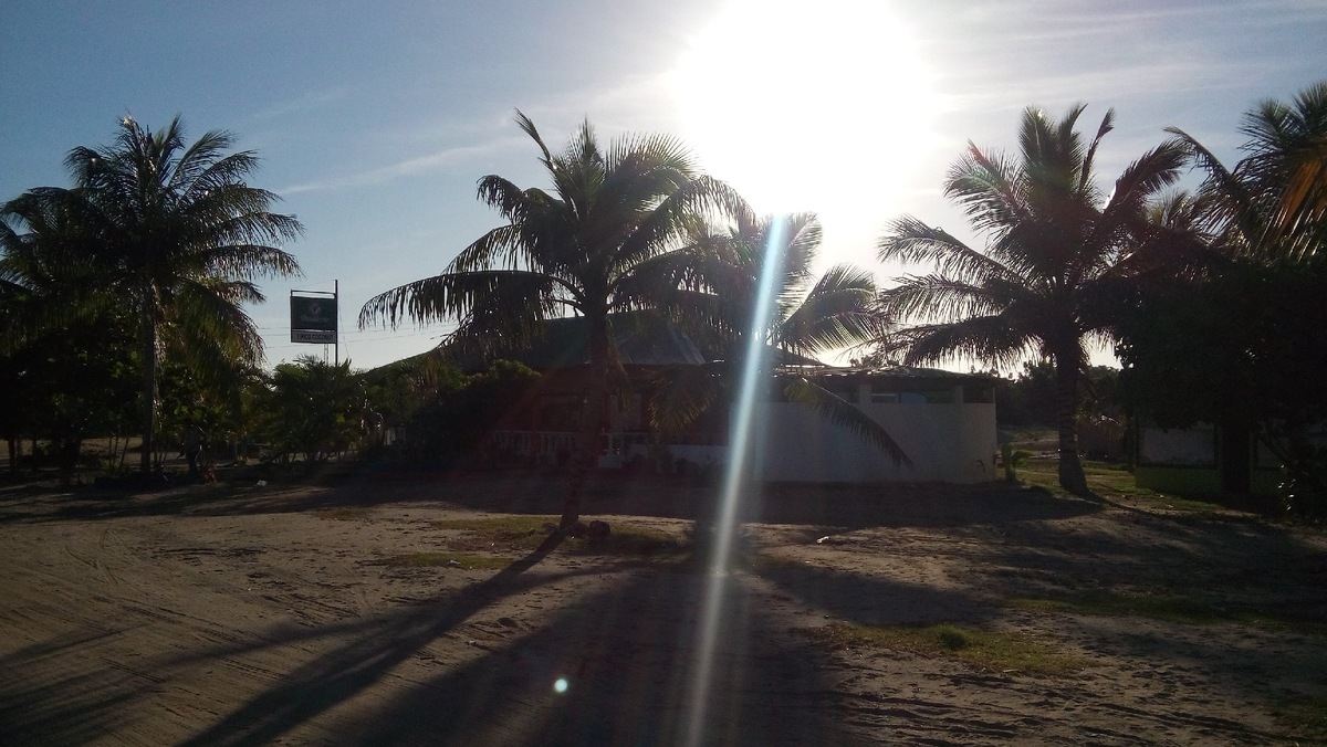 Больше всего меня удивило, что в магазинах на прилавках лежат почерневшие бананы. Это в стране, где они растут как яблоки в Псковской области.