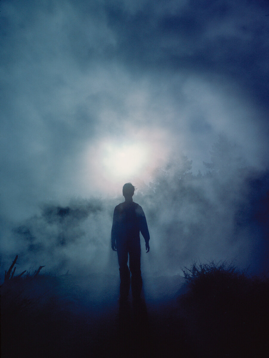 фото взято с сайта pixabay (с)