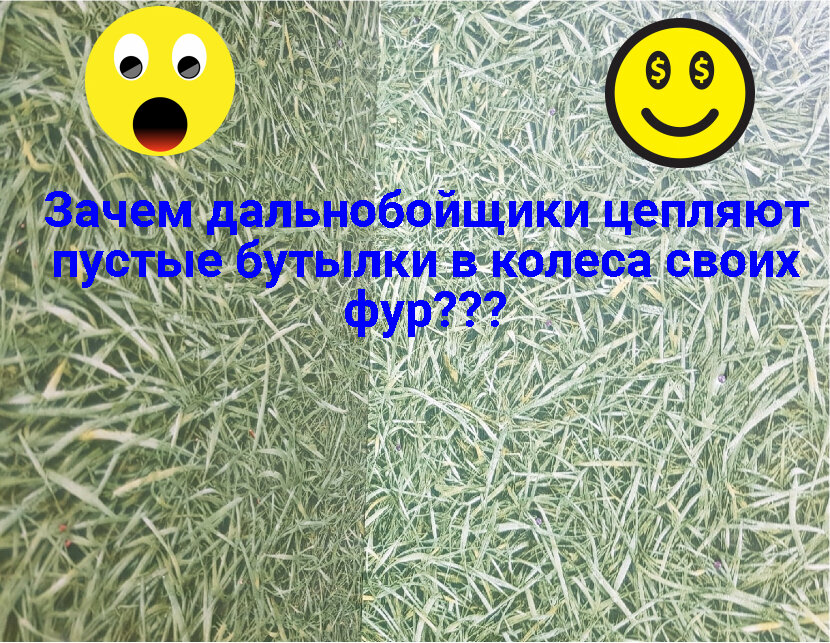 Что где когда вопрос про бутылку на колесе фуры - фото