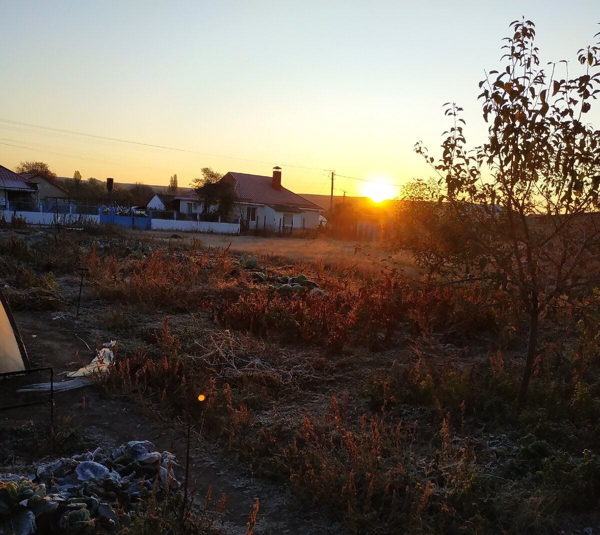Утренний рассвет . Красота не правда ли ?сень. Листопад. Красота   