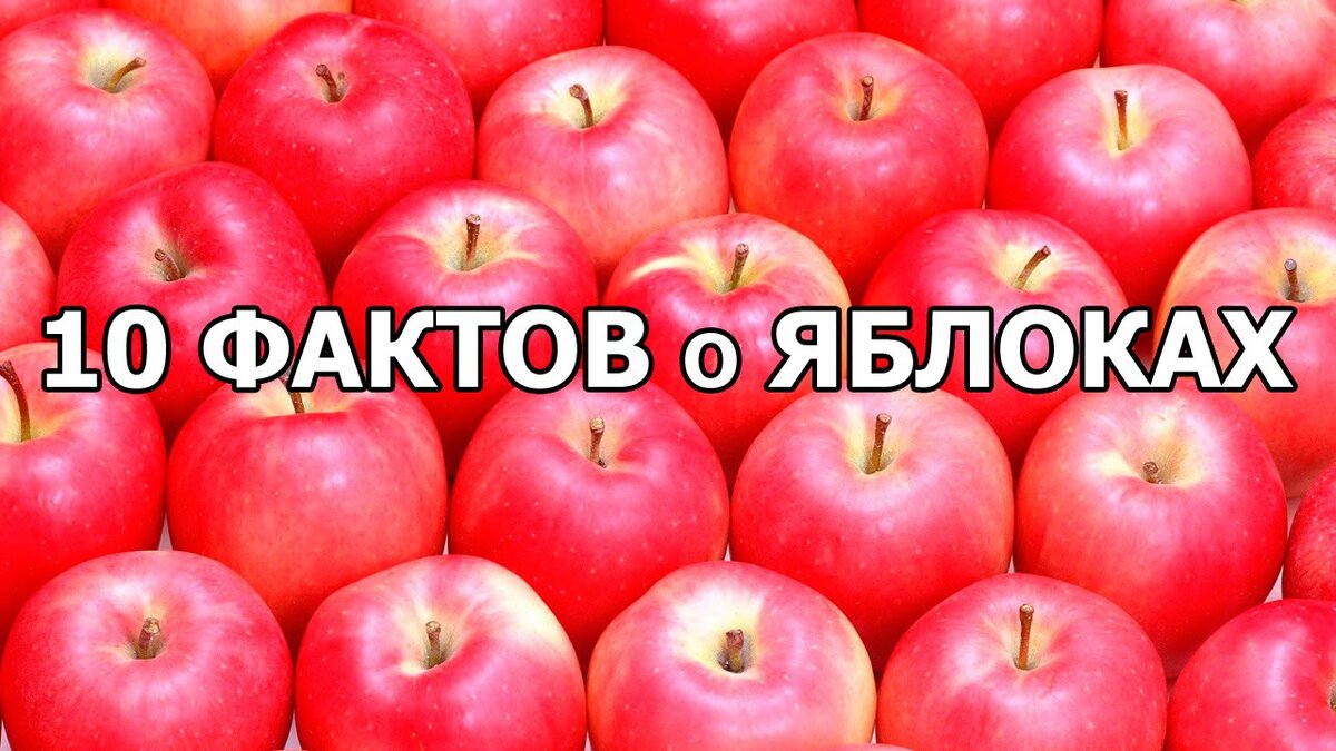 Факты о яблоках. 10 Фактов о яблоках. Вес яблока. 10 Яблок.