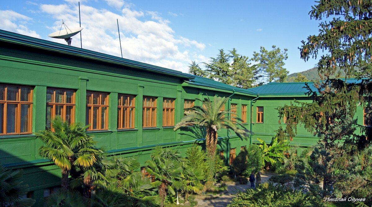 2. Во дворе здания, построенное в плане в виде буквы «П» также зелено, высажены пальмы.