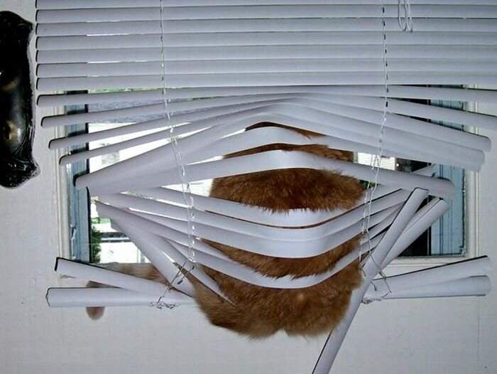 Источник: сервис Яндекс-картинки