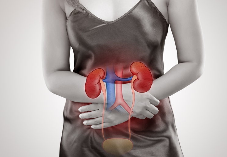 Инфекции мочевых путей