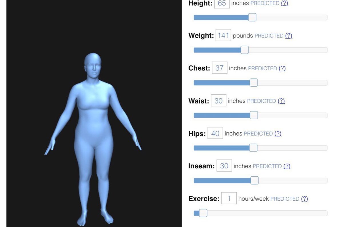 https://bodyvisualizer.com