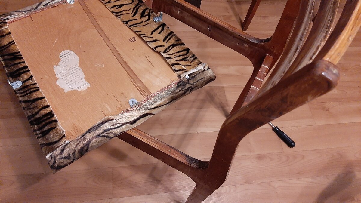 Разбираем динозавра :)