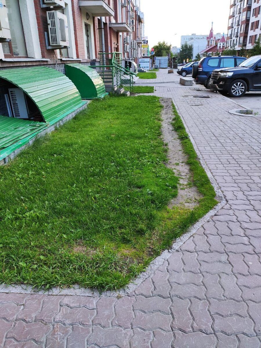 Оригинальненько. Фото автора. 