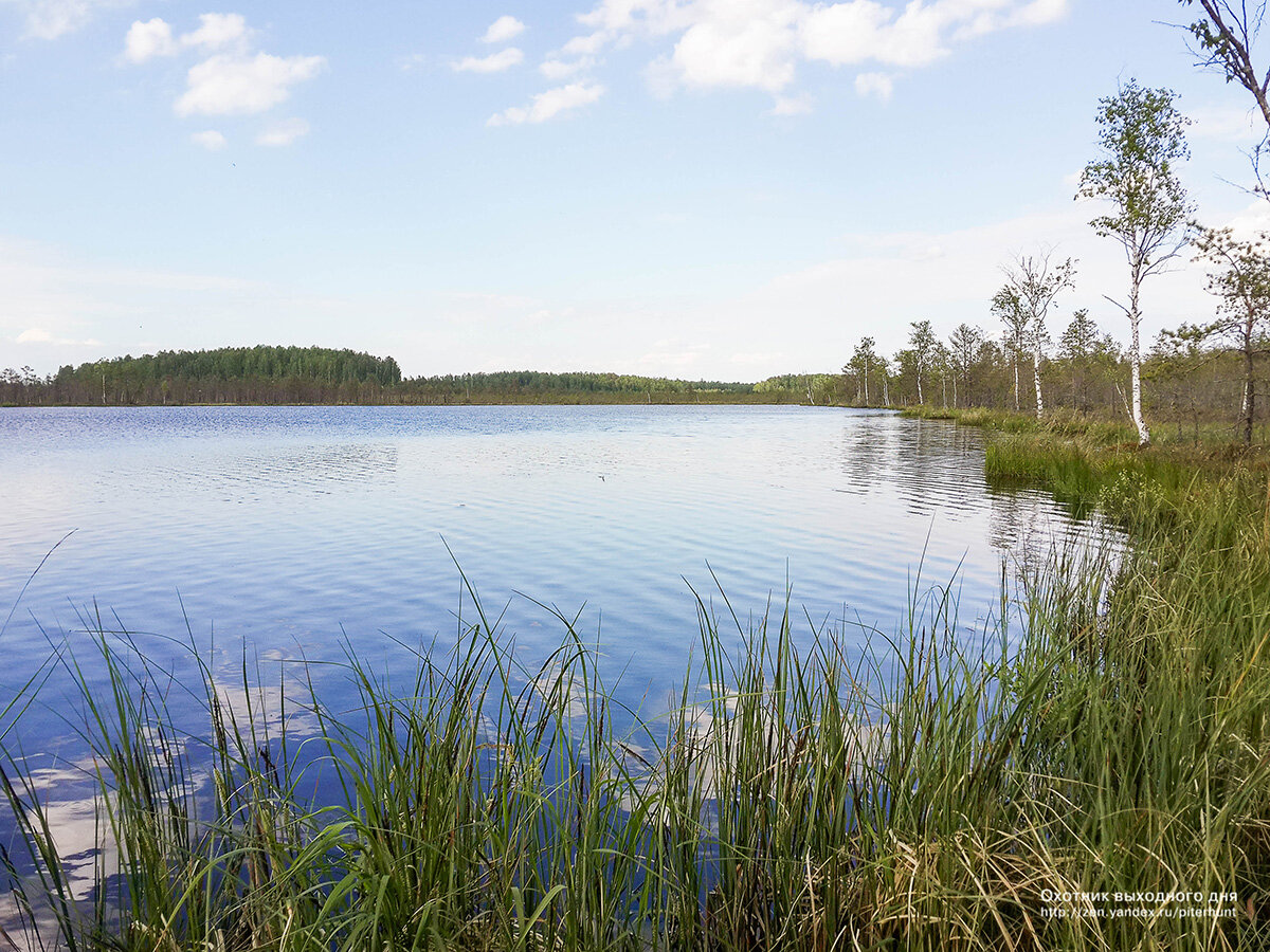 озеро мирское пашино