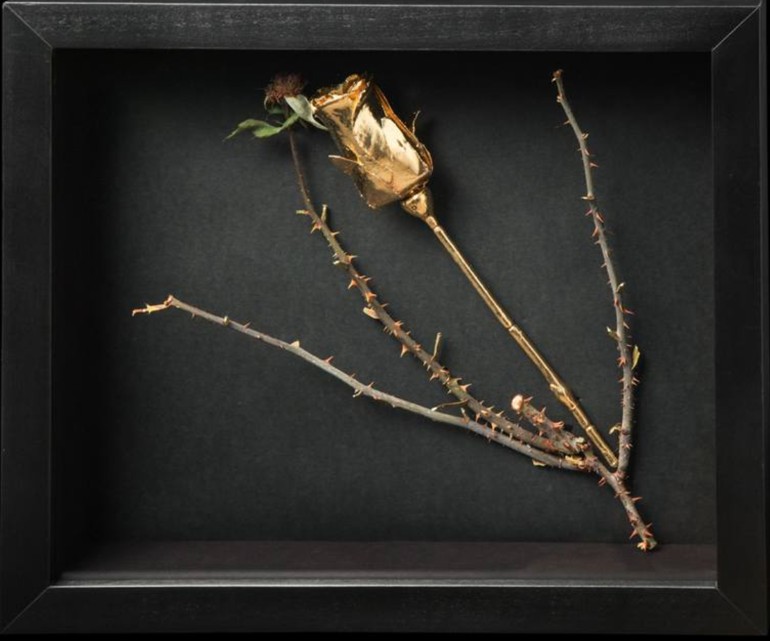 Rose 2 by Nuki Sigora