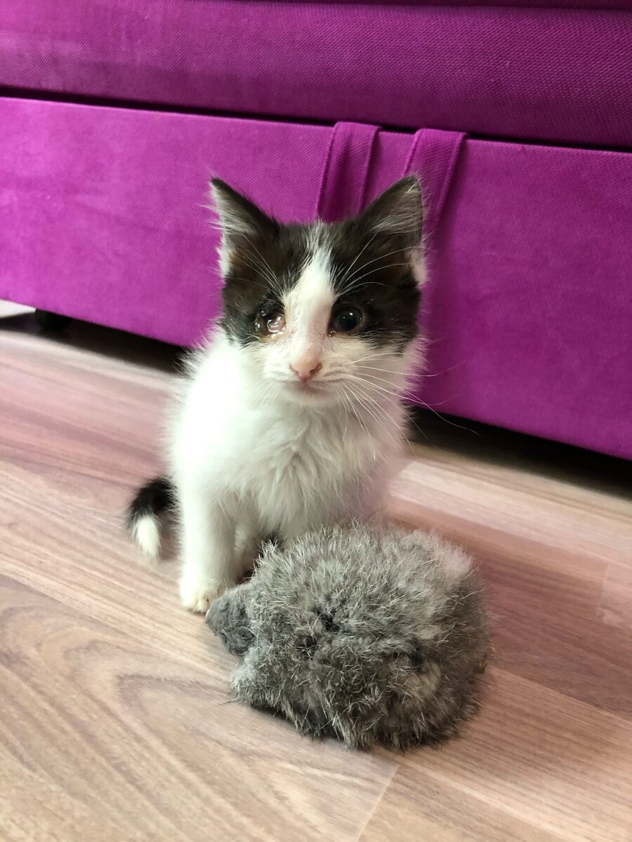 Она родилась под плитами в теплотрассе. 