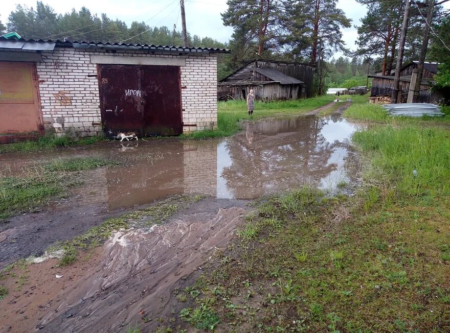 фото автора(вот такая лужа образовалась после первого ливня)