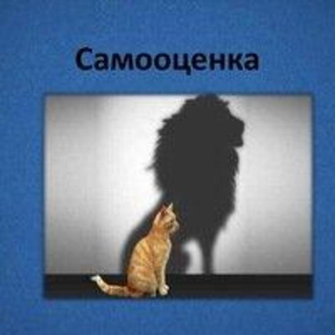 Яндекс-картинки