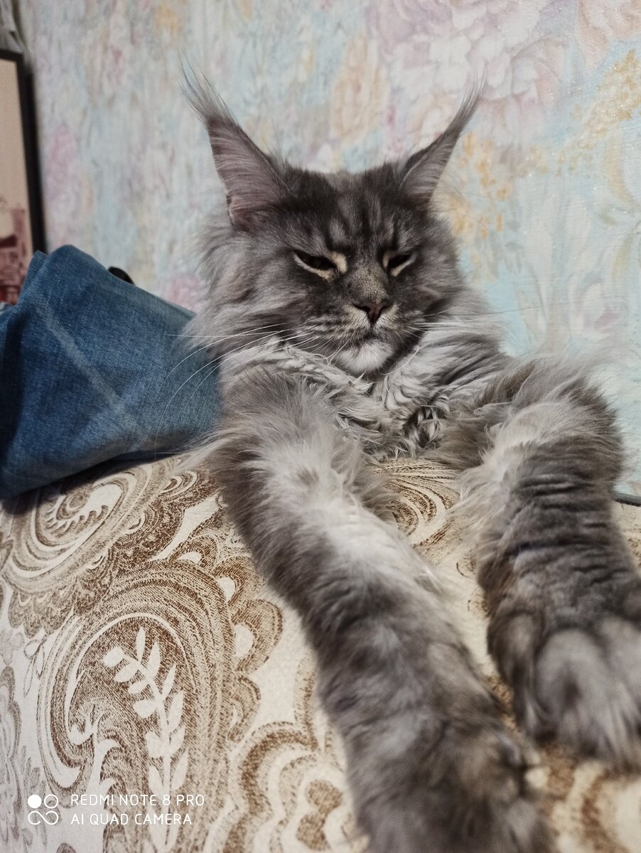 Когда у тебя все хорошо)